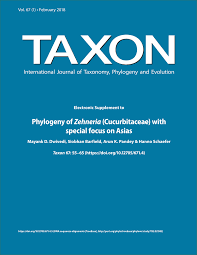 Image result for Zehneria tridactyla