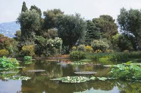 Vente villa st jean cap ferrat villa contemporaine située au coeur du village de saint jean cap ferrat, superbe. Villa Les Cedres Au Cap Ferrat Un Jardin Botanique Mythique La Terre Est Un Jardin