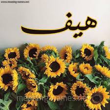 View now · here at inforightnow.com · information for you Ù…Ø¹Ù†Ù‰ Ø§Ø³Ù… Ù‡ÙŠÙ