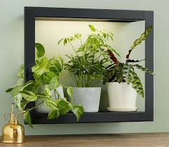 Plant Grow Light Picture Frame Shelf