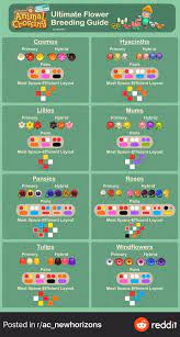 Twitter Animal Crossing Animal Crossing Flowers Guide New Animal Crossing