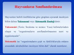 Hayvanlarin Siniflandirilmasi Isimlendirilmesi Ppt Indir