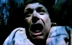 Christchurch's last United Video store fades to black