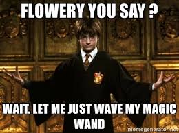 Wands are assumed to be at least partially sentient, explaining why the. Flowery You Say Wait Let Me Just Wave My Magic Wand Harry Potter Come At Me Bro Meme Generator
