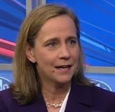 Another Shocking Illegal Immigrant Crime, Another 'No Comment' From NHDems 