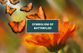 Orange butterfly landing on you. Butterfly Symbolism And Meanings Symbol Sage