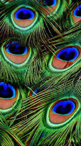 Maybe you would like to learn more about one of these? Download Wallpaper 1350x2400 Peacocks Feathers Patterns Iphone 8 7 6s 6 For Paralla Colourful Wallpaper Iphone Feather Wallpaper Iphone Feather Wallpaper