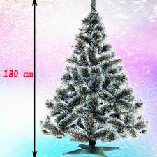 80cm, 120cm, 150cm, 180cm, 220cm, sve do 420cm i više. Gusta Novogodisnja Jelka Bor Sa Belim Vrhovima 180 Cm Novogodisnje Jelke Jelka Olimp Sport