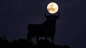 Albaa_mt onlyfans such a vibe!! Lalynn is very beautiful