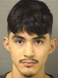 Three illegal migrants nabbed in Florida for allegedly sexually assaulting  child