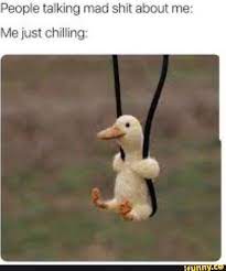 People Talking Mad Shit About Me Me Just Chilling