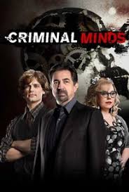 How many episodes are in season 14 of criminal minds. Criminal Minds Season 14 Rotten Tomatoes