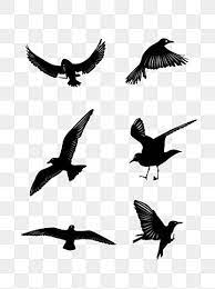 46 Free Vector Flying Birds Silhouettes Flying Flying Bird Bird Png Transparent Image And Clipart For Free Download Flying Bird Silhouette Bird Silhouette Bird Graphic