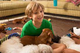 The young dogs cost $15 for an hour, $25 for two hours and $10 for each hour after that, according to the station. For A Better Party Rent Puppies Wsj