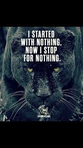 A lion walks alone while the sheep flock together. Zitate Zitate Zitate Zitate Warrior Quotes Badass Quotes Life Quotes