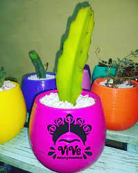 Watercolor and geometric patterned chubby cactus cookies my happy!!! Vive Cactus Y Suculentas Home Facebook
