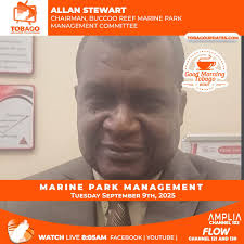 What are your thoughts