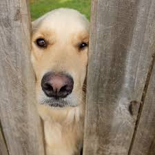 Tracey Dudley Weinstein (@traceydudleyweinstein) • Instagram photos and  videos