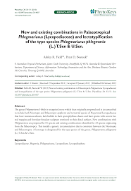 Image result for Huperzia afromontana