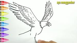 Find this pin and more on gambar mewarnai by muhammad sapoandie. Mudahnya Ayo Belajar Cara Menggambar Burung Elang Dan Mewarnai Kartun Untuk Anak Anak Indonesia Youtube