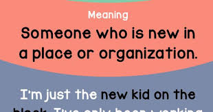 Idiom Of The Day New Kid On The Block Meaning Someone Who Is New In A Place Or Organization Example I M Just The New English Idioms Learn English Idioms