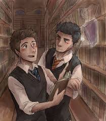 stiles #derek #teen wolf #harry potter crossover by (TorakodragonTumblr.com)