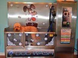 The do it yourself dog wash price is $7.00 per dog. 7 Reasons To Use A Self Service Dog Wash Diy Dog Wash Millie S Pet Services
