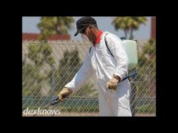 Our technicians are from florida and understand the unique pests that live in the region. Tonys Pest Control 1020 Ne 7th Ter Cape Coral Fl 33909 Yp Com