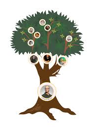 What is a Family Tree and How Does It Work? | Treemily