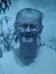 Cedie Ann Frances (Bryan) Morrow (1873-1942)