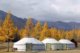 Yurt 2 has stairs to the loft if that is more appealing to you. Building A Modern Yurt Homesteading And Livestock Mother Earth News