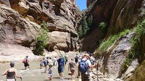 The zion narrows have been created over many thousands of years by water that continuously flows through this section of zion national park. The Narrows Zion National Park U S National Park Service