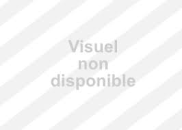 Le tableau sera mis à prix à un million d'euros mais son prix final pourrait être beaucoup plus élevé, selon aymeric rouillac : Guichet Fioul Distributeur De Fioul