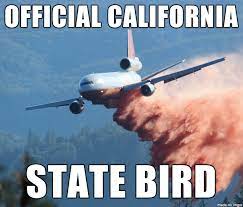 We did not find results for: 46 Funny Memes And Random Pics To Browse When You Re Bored Funny Gallery