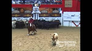 Austin shepard on a son of high brow cat.) Stylin Cat Cutting Horse Stallion By High Brow Cat Out Of A Docs Stylish Oak Mare Youtube
