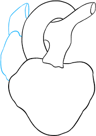 We did not find results for: Download Hd How To Draw Human Heart Drawing Transparent Png Image Nicepng Com
