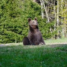 Bambidoe onlyfans nudes jordyns main line of communication