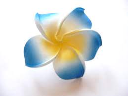 Pin By Kayla Hamilton On Tattoo Ideas Plumaria Flower Plumeria Flowers Plumeria