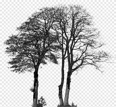 You will receive 6 beautifully rendered separate png files (transparent background) which were created at 300dpi. Silhouette Drawing Tree Silhouette Winter Animals Png Pngegg