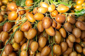 Image result for Clausena