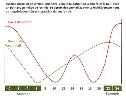 Voici comment la maintenir au plus bas grâce à l'entraînement et la nutrition. Quand Boire Du Cafe En Respectant Le Cycle Circadien