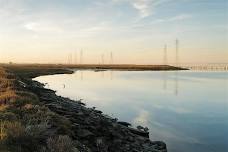 Walk with a Doc - Baylands Nature Preserve
