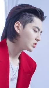 Kris wu(wu yifan/吴亦凡), is a chinese actor and singer. Pin By Batrice On Exo Kris Wu Kris Exo Artistic Hair