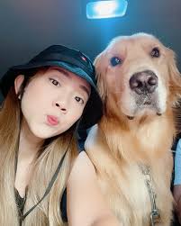 ROMEO CHIU🐾 (@iamromeo.golden) • Instagram photos and videos