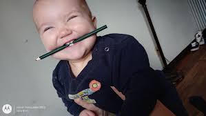 Best place for last minute Santa pics?