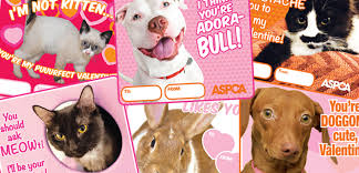 Free postage when cardfool mails it to your recipient for you! Spread Love This Valentine S Day Download Our Pet Themed Printable Cards Aspca