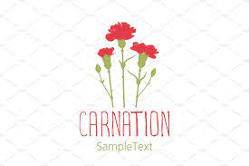 Set Of Designs With Carnations Carnations Design Carnation Flower