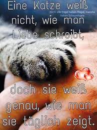 Achtung Du Liebst Katzen Du Bist Nur Einen Klick Entfernt Von Den Besten Und Lustigsten T Shirts Fur Katzenliebha Geliebte Katze Spruche Tiere Katzen Zitate