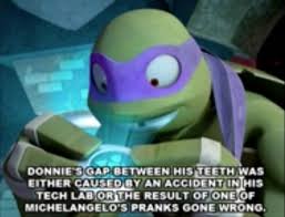 Tmnt Facts Teenage Ninja Turtles Ninja Turtles Ninja Turtles Art