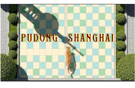 NG娱乐互联网优创者“说”当AI小猫遇见魔都海辛与阿文的“城市漫游 ...